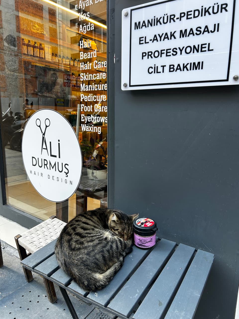Dükkanın kapısındaki bankta kıvrılıp uyuyan tekir kedi